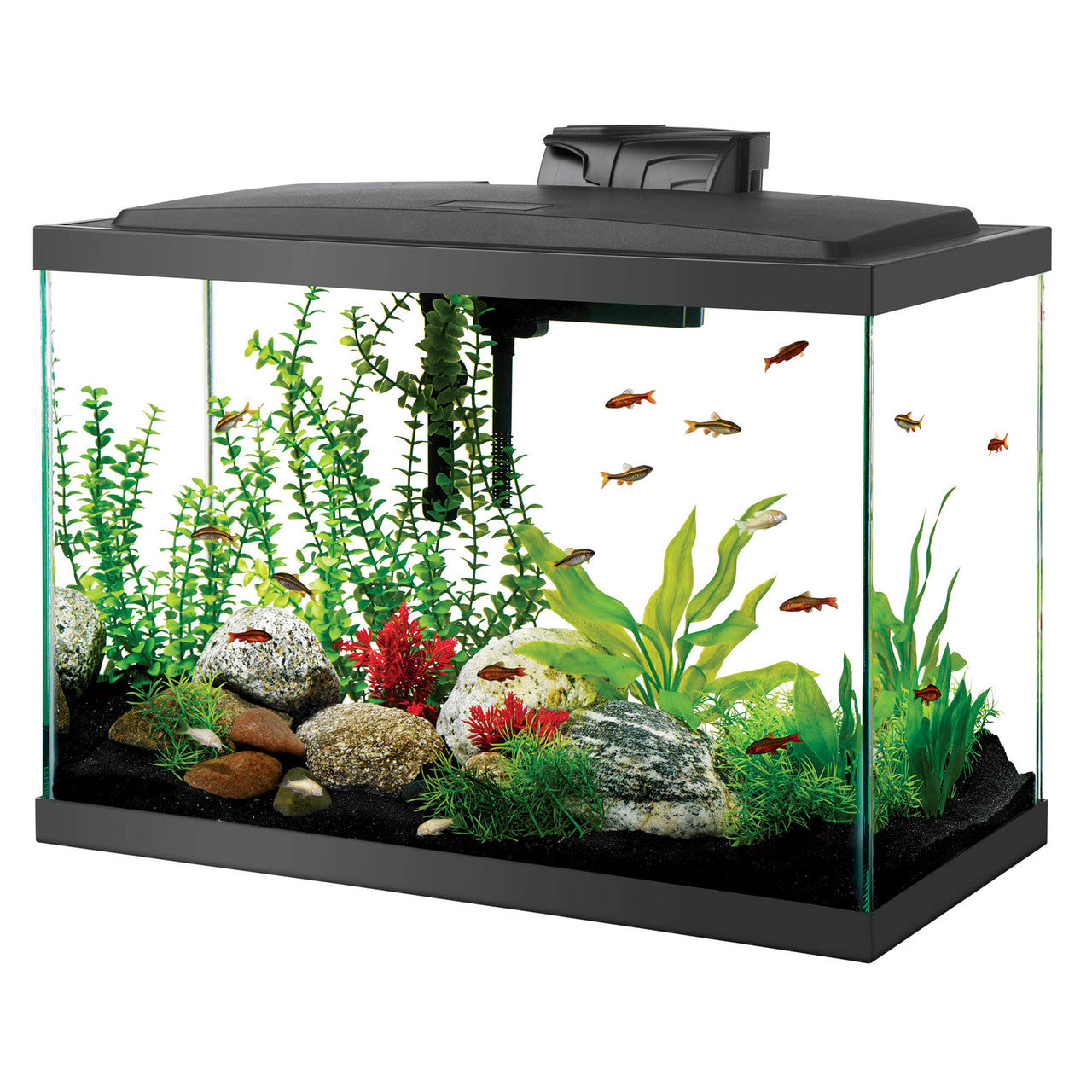 Aqueon Pre-Priced LED Aquarium Kit 20H