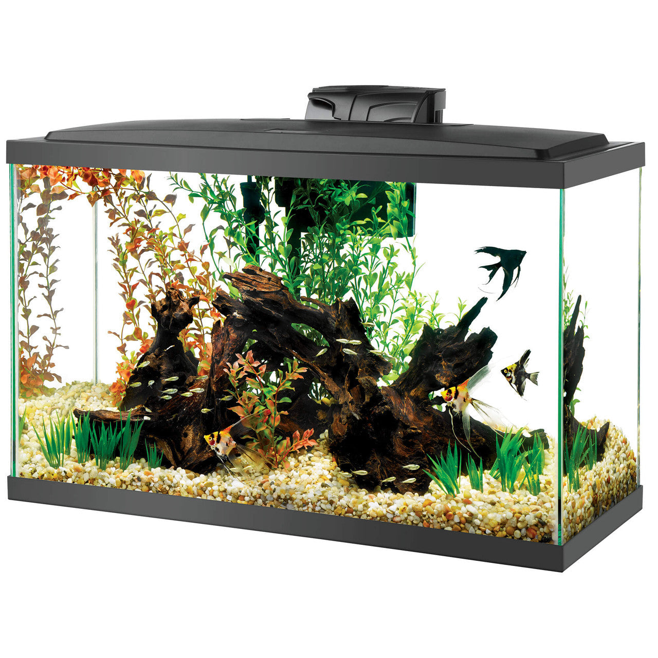 Aqueon Pre-Priced LED Aquarium Kit 29