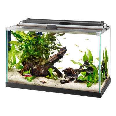 Aqueon Rimless Rectangle Aquarium 10