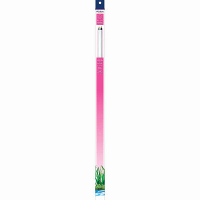 Aqueon T8 Fluorescent Lamp Replacements Colormax 24 Inches - Aquarium