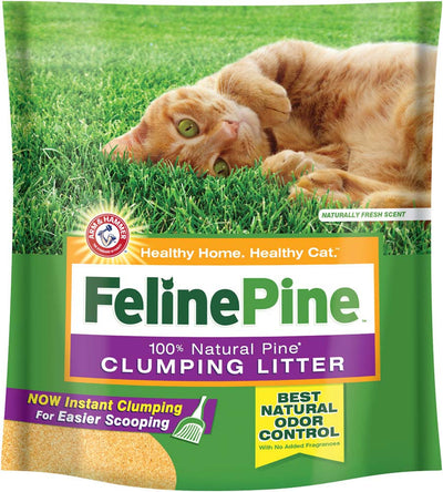 Arm & Hammer Clumping Cat Litter 14 lb