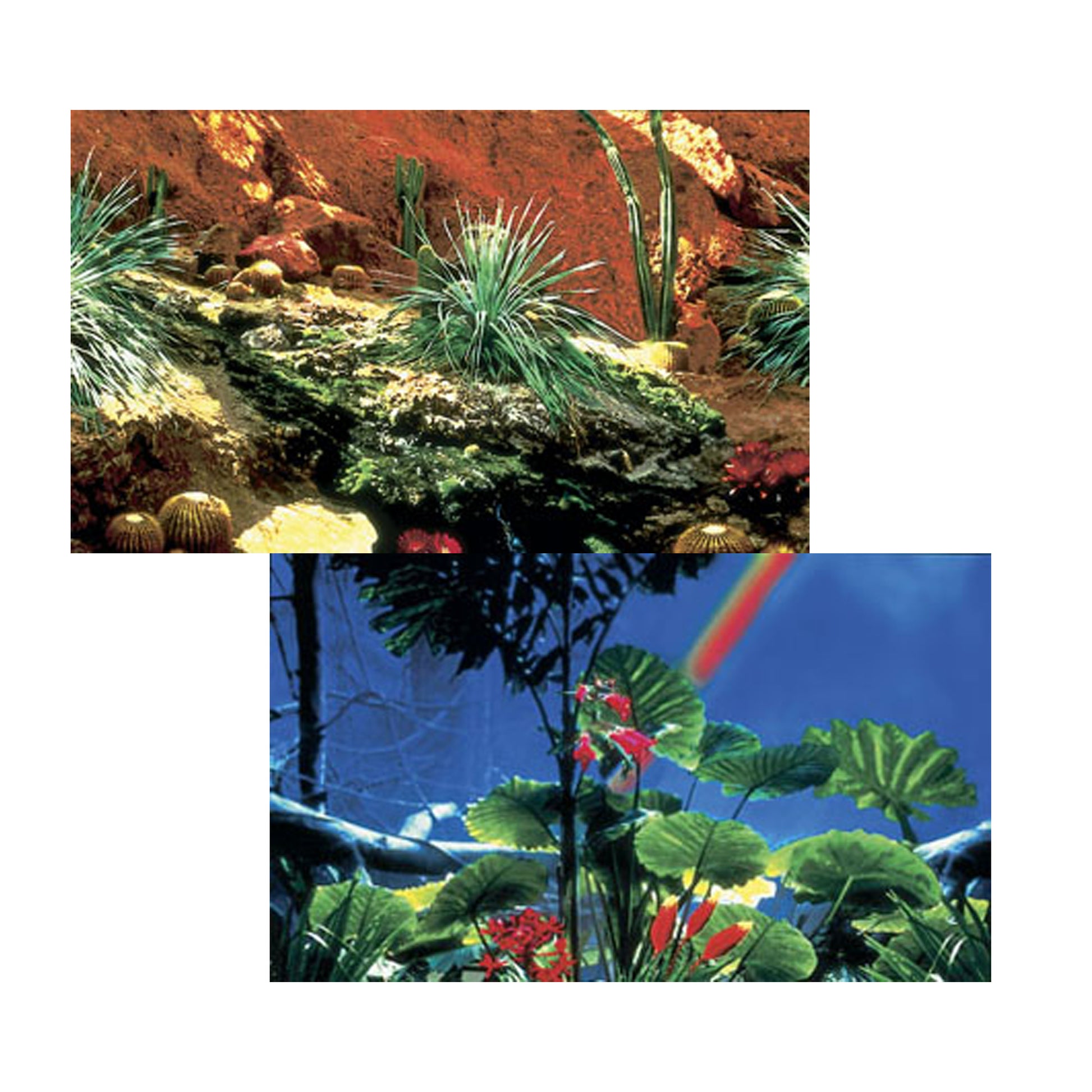Penn-Plax Double Back Cactus Garden & Rainforest Background Roll 19.25In X 50 ft 030172130267
