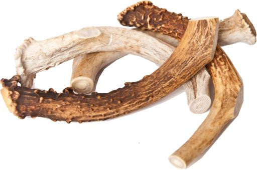 Best Buy Bones Inc. American Jumbo Elk Antler 9-11" Packaged {L+1R} 395032 739598901153