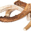 Best Buy Bones Inc. American Jumbo Elk Antler 9 - 11’ Packaged {L + 1} 395032 - Dog