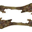 Best Buy Bones USA 9’ Smoked Lamb Femur 25ct {L - 1}395114 - Dog