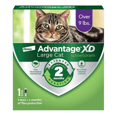 Elanco Advantage XD Topical Flea Protection for Cats 1 dose (2 months of protection) Large Cats (Over 9Lbs) 727804566425