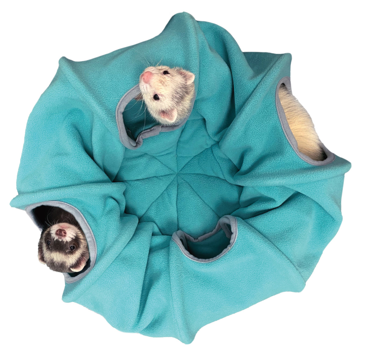 Marshall Pet Products Ferret Go Round 12Inx24Inx3 in 766501004564