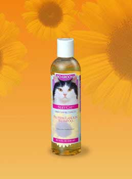 Bio - groom Silky Cat Tearless Shampoo 8oz {L + 2}