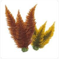 biOrb Aquatic Autumn Fern Set 2 {L+1}227234 822728003053