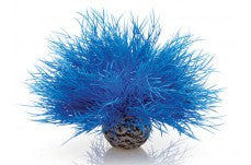 biOrb Aquatic Sea Lily Blue {L + b}227245 - Aquarium