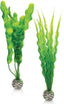 biOrb Easy Plant Medium Green 2 ct - Aquarium