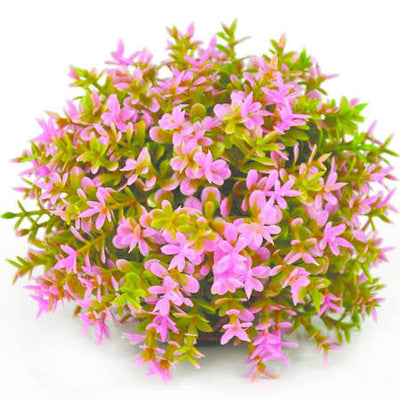 biOrb Flower Ball Pink Small {L + b}227257 - Aquarium