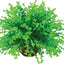 biOrb Flower Ball Topiary Small - Aquarium