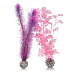 biOrb Kelp Set Small Pink {L+1} 227250 822728006009