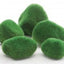 biOrb Moss Pebbles {L + b}227253 - Aquarium