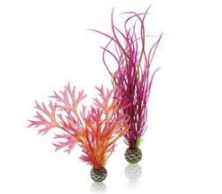 biOrb Plant Set 2 Medium Red/Pink {L + 1} 227227 - Aquarium