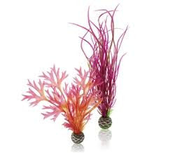 biOrb Plant Set 2 Medium Red/Pink {L+1} 227227 822728002940