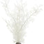 biOrb Sea Fan Large White - Aquarium