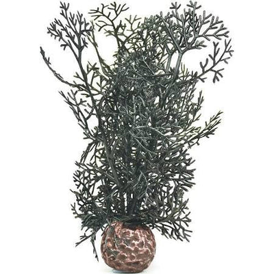 biOrb Sea Fan Small Black {L+1} 227262 822728007594