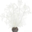 biOrb Sea Fan Small White - Aquarium