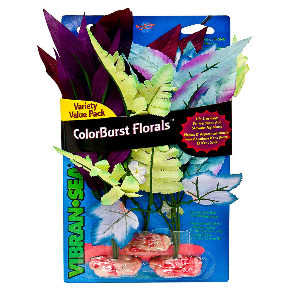 Blue Ribbon ColorBurst Florals African Fountain Fern Cluster Aquarium Plant Assorted 3 Pack