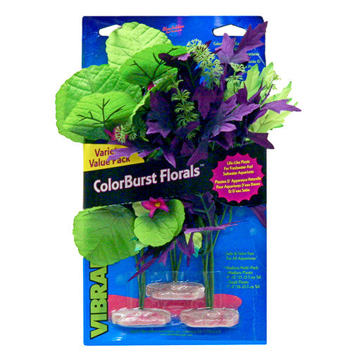 Blue Ribbon ColorBurst Florals Amazon Flowering Cluster Aquarium Plant Assorted 3 Pack