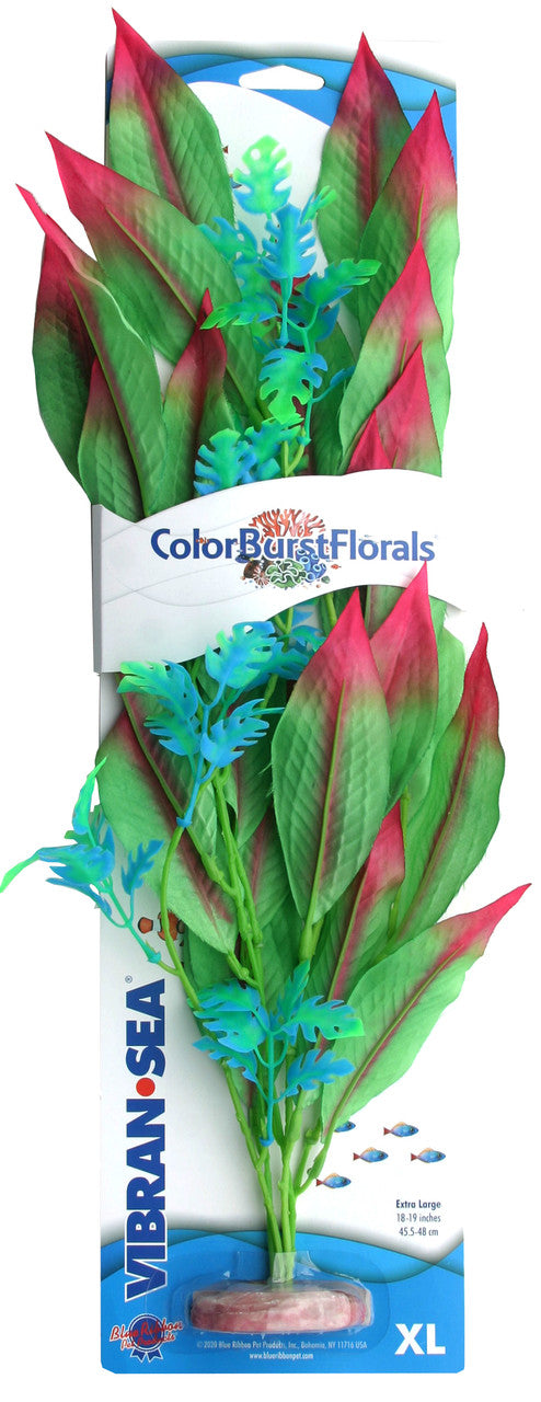 Blue Ribbon Colorburst Florals Amazon Sword Aquarium Plant Green XL