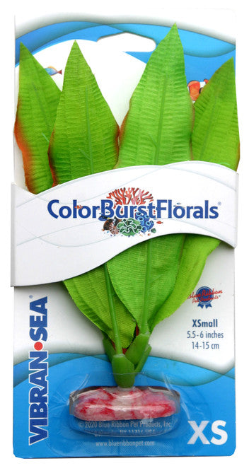 Blue Ribbon Colorburst Florals Amazon Sword Aquarium Plant Green XS