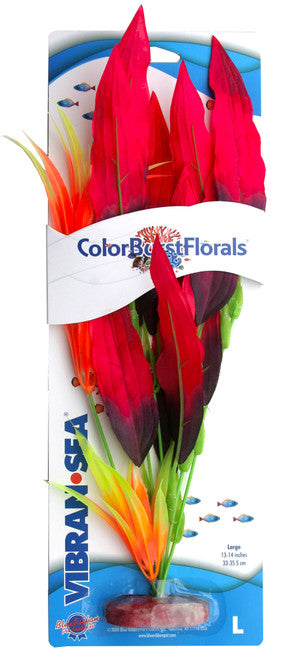 Blue Ribbon Colorburst Florals Amazon Sword Aquarium Plant Red LG