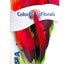 Blue Ribbon Colorburst Florals Amazon Sword Aquarium Plant Red LG