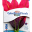 Blue Ribbon Colorburst Florals Amazon Sword Aquarium Plant Red XS