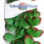 Blue Ribbon Colorburst Florals Apple Leaf Aquarium Plant Green XL