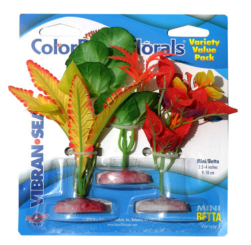 Blue Ribbon Colorburst Florals Betta Plants Variety Pack Mini - Aquarium
