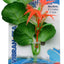 Blue Ribbon Colorburst Florals Broad Lily Leaf Aquarium Plant Green Mini
