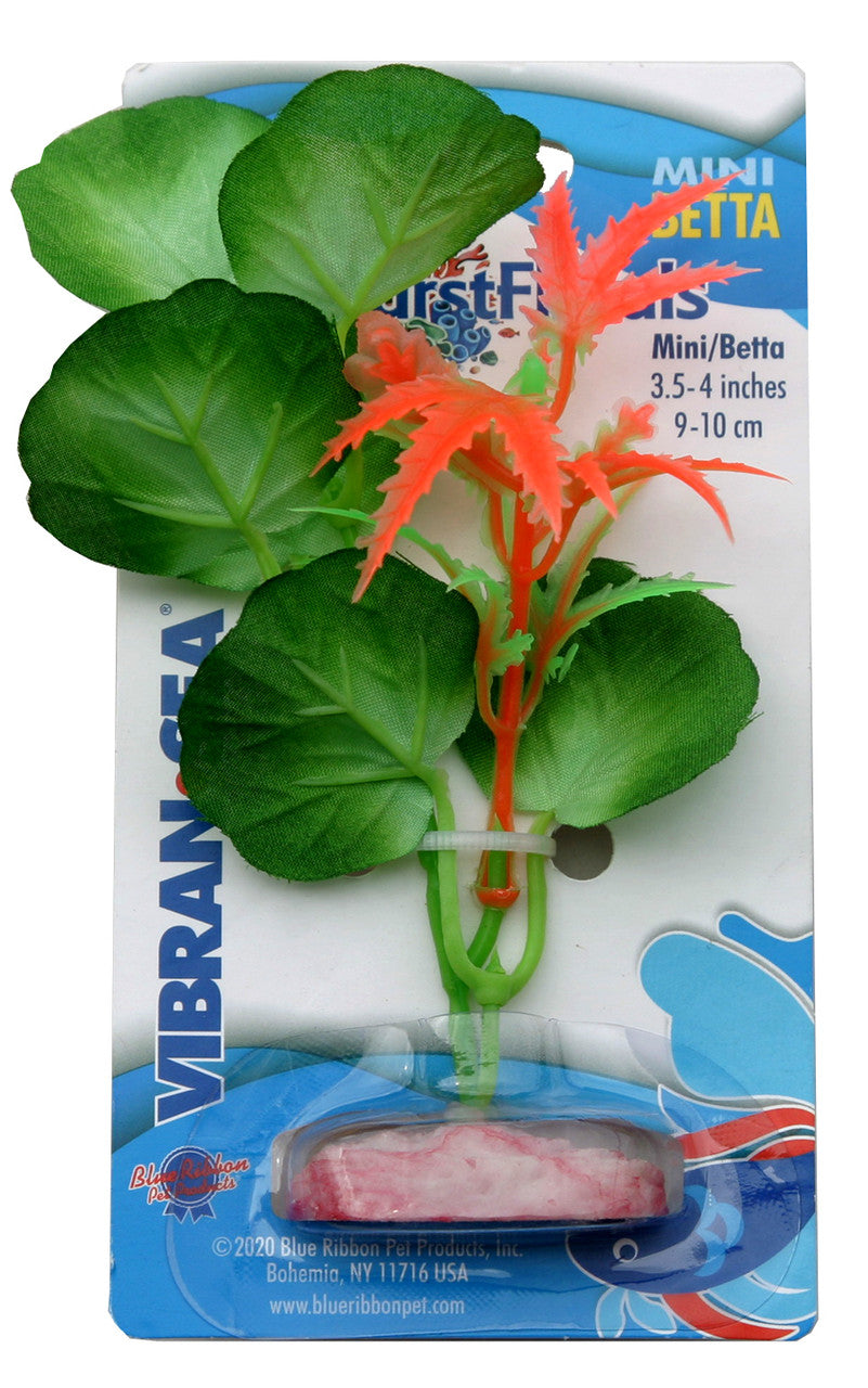 Blue Ribbon Colorburst Florals Broad Lily Leaf Aquarium Plant Green Mini