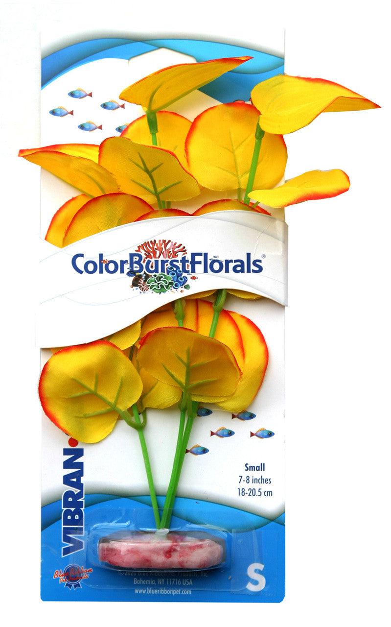 Blue Ribbon Colorburst Florals Broad Lily Leaf Aquarium Plant Yellow SM