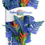 Blue Ribbon Colorburst Florals Butterfly Sword Aquarium Plant LG
