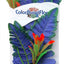 Blue Ribbon Colorburst Florals Butterfly Sword Aquarium Plant Blue MD