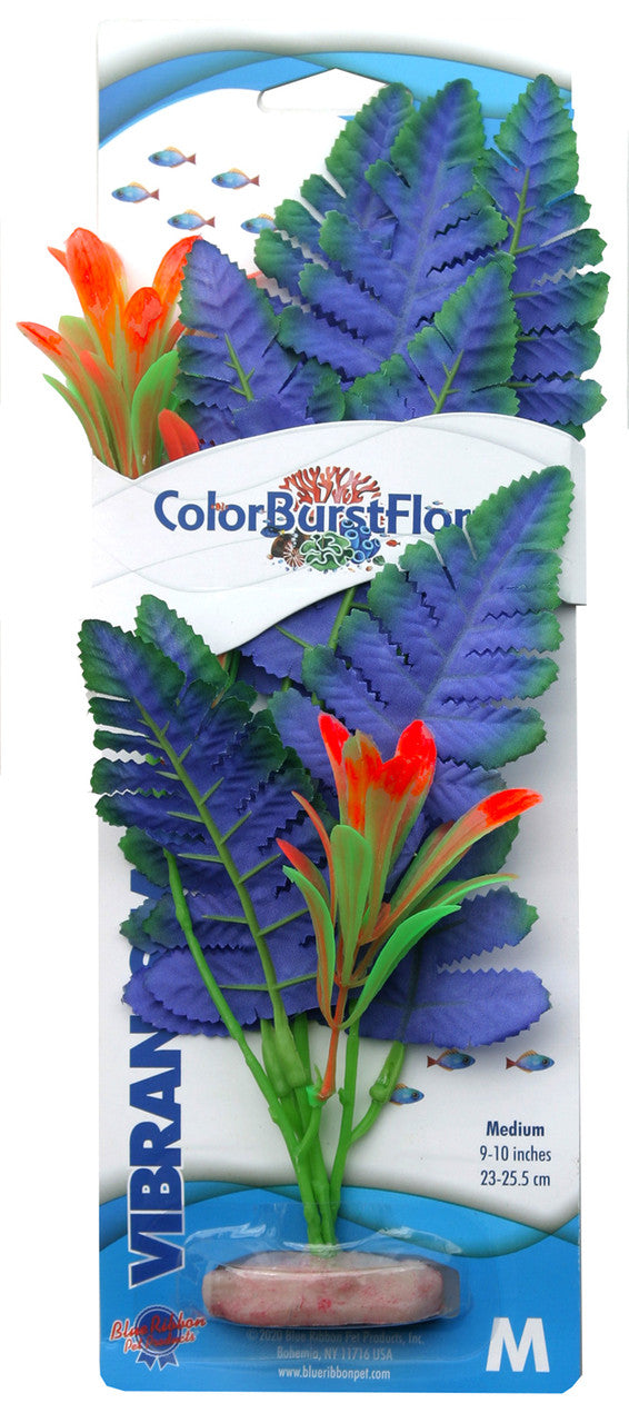 Blue Ribbon Colorburst Florals Butterfly Sword Aquarium Plant Blue MD