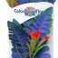 Blue Ribbon Colorburst Florals Butterfly Sword Aquarium Plant MD
