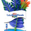 Blue Ribbon Colorburst Florals Butterfly Sword Aquarium Plant XS
