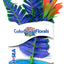 Blue Ribbon Colorburst Florals Butterfly Sword Aquarium Plant Blue XS