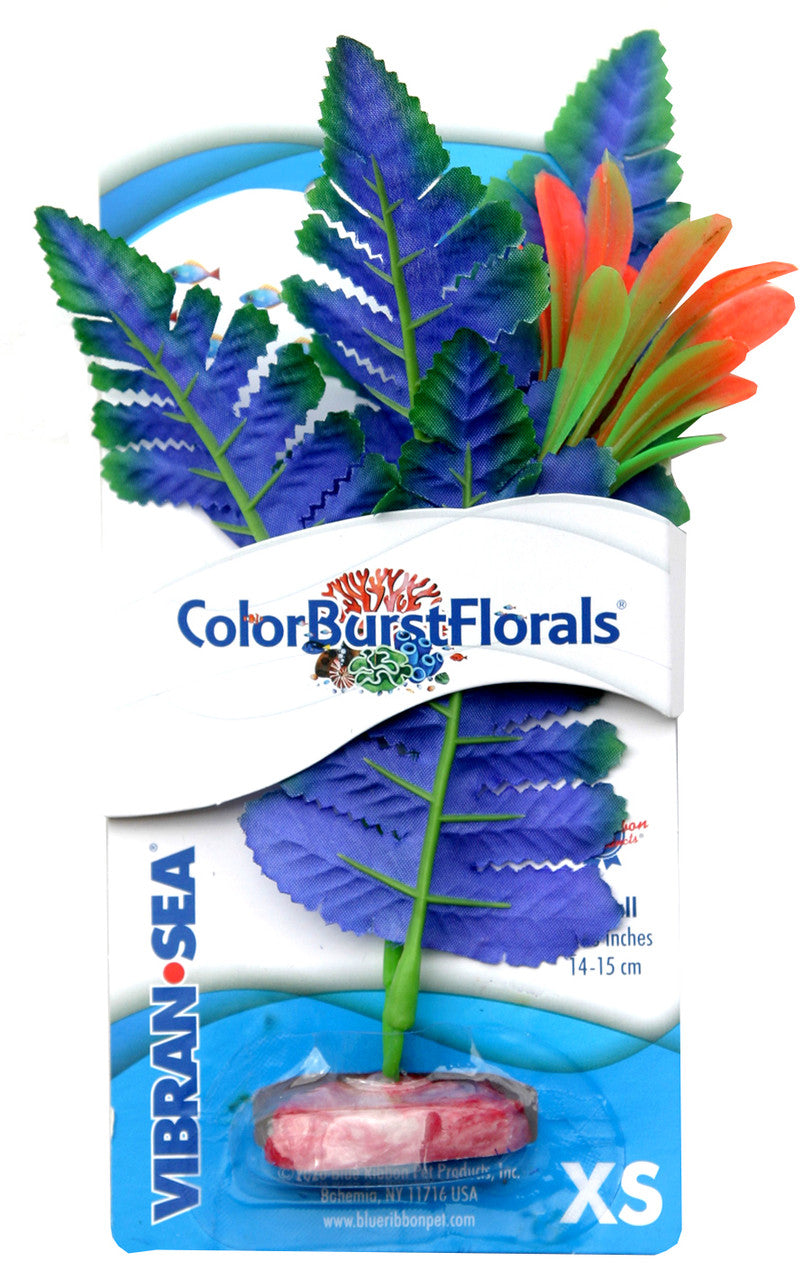 Blue Ribbon Colorburst Florals Butterfly Sword Aquarium Plant Blue XS