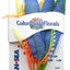 Blue Ribbon Colorburst Florals Crispus Aquarium Plant SM