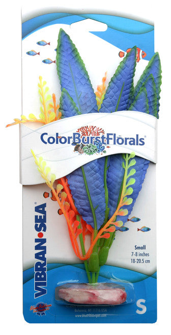 Blue Ribbon Colorburst Florals Crispus Aquarium Plant SM
