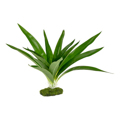 Blue Ribbon ColorBurst Florals Dracaena Deremensis Broad Leaf Aquarium Plant Green 5.25 in