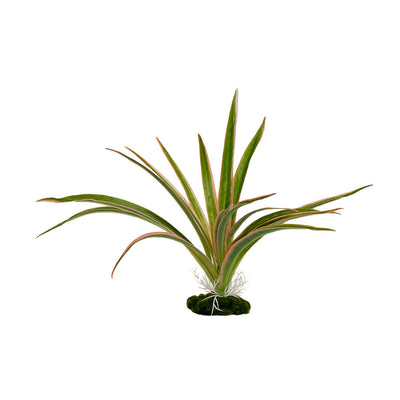 Blue Ribbon ColorBurst Florals Dracaena Marginata Aquarium Plant Green 6 in