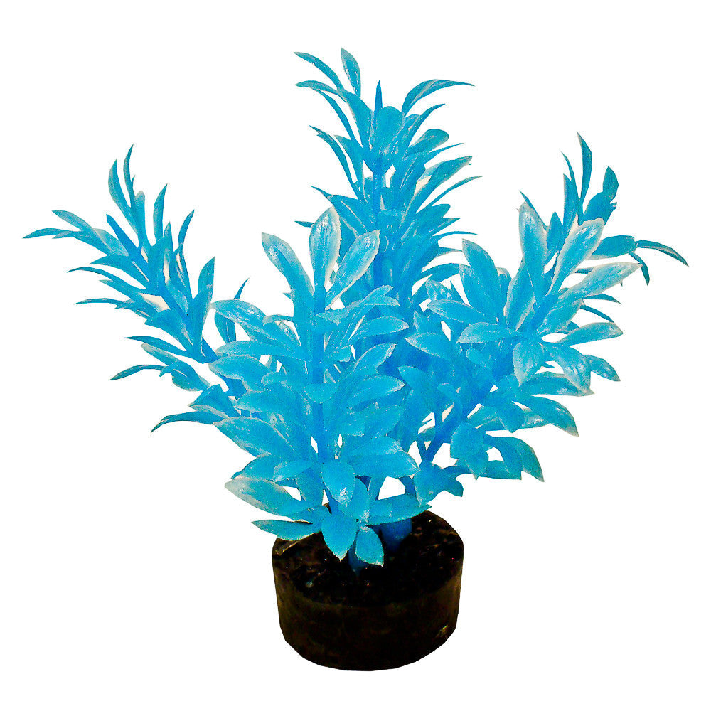 Blue Ribbon ColorBurst Florals Exotic Aquarium Plant Neon Blue 4 in