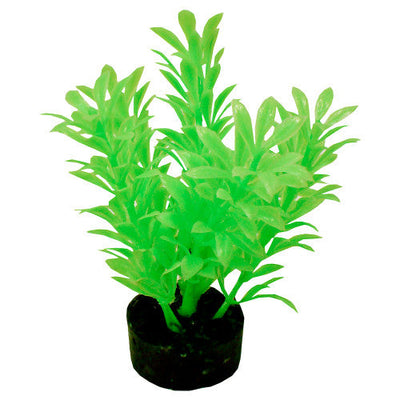 Blue Ribbon ColorBurst Florals Exotic Aquarium Plant Neon Green 4