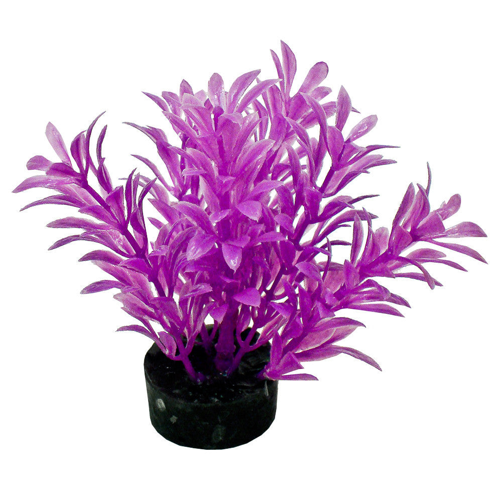 Blue Ribbon ColorBurst Florals Exotic Aquarium Plant Neon Purple 4 in